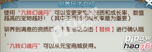 诛仙手游宠物怎么培养最好?